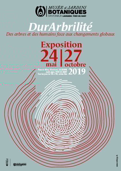 DurArbrilité