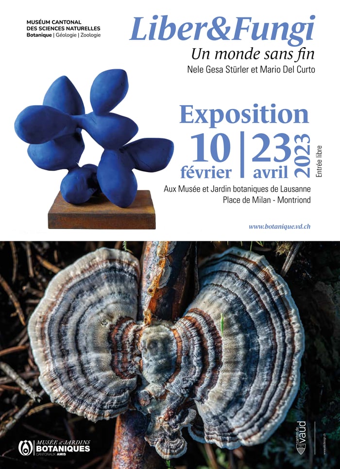 Liber & Fungi. Un monde sans fin – Nele Gesa Stürler & Mario Del Curto