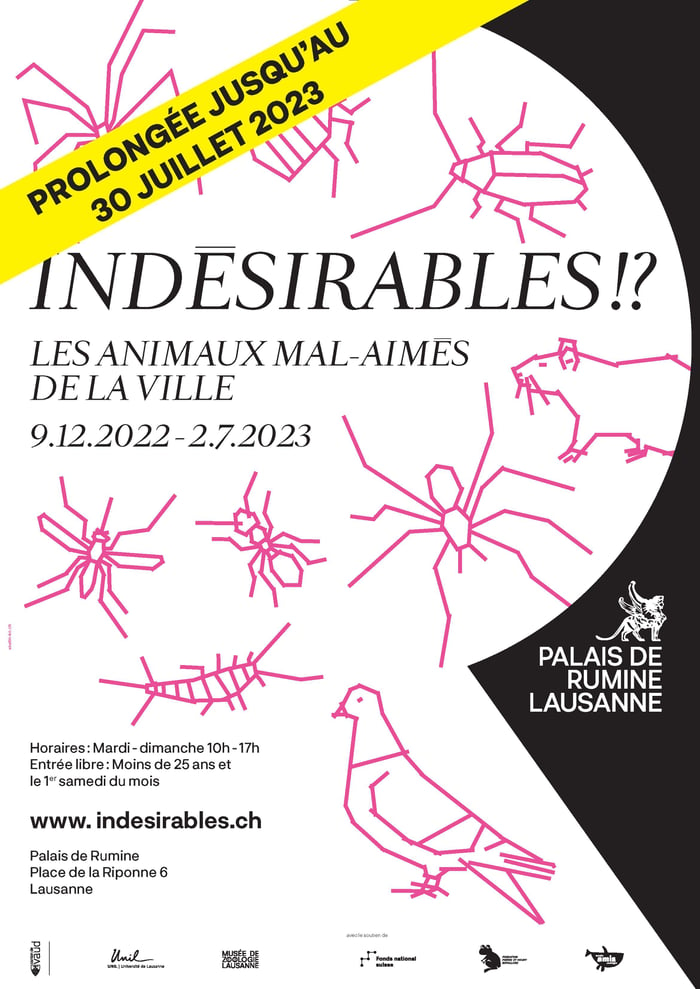 Indésirables !?  Les animaux mal-aimés de la ville