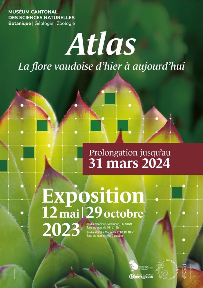 Atlas - La flore vaudoise d'hier à aujourd'hui 