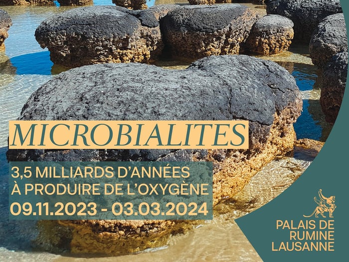 Microbialites