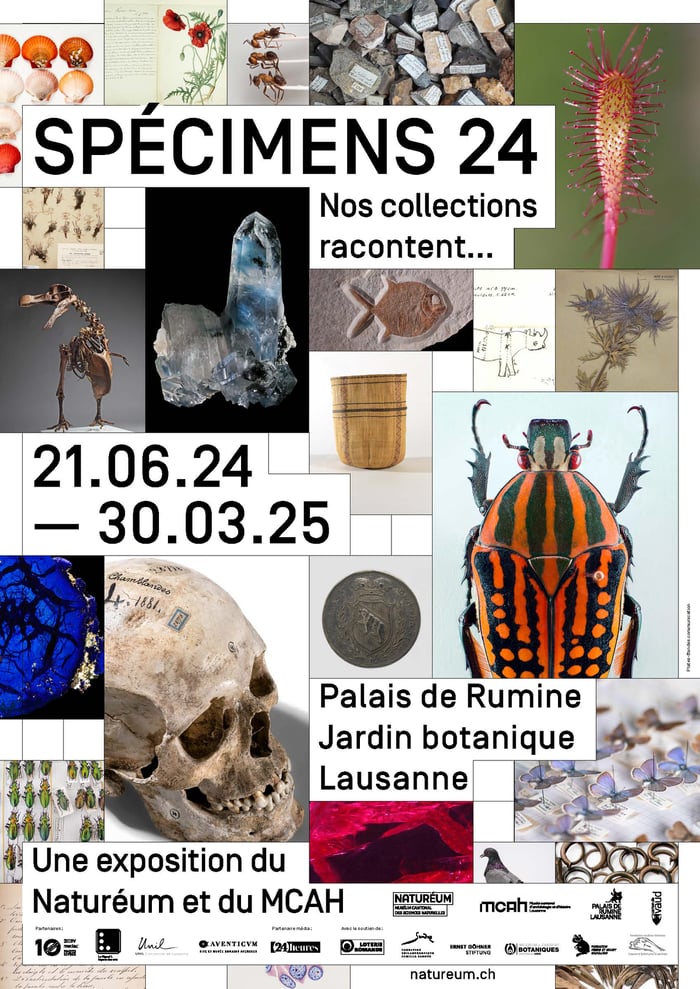 Spécimens 24 - Nos collections racontent