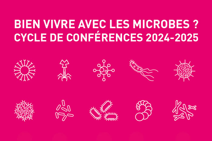 « Microbes et sols, terres vivantes »