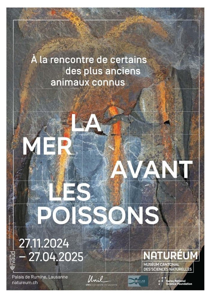 La mer avant les poissons