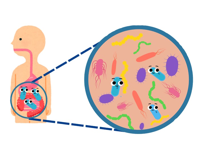 « Planète Microbes » pour les 9-12 ans