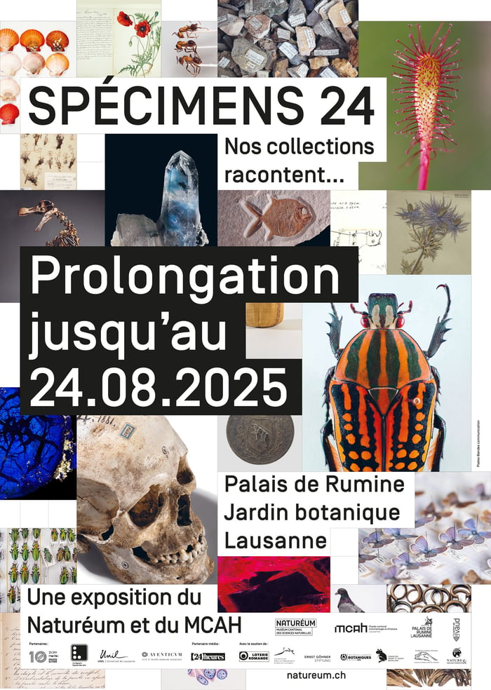 Spécimens 24 - Nos collections racontent