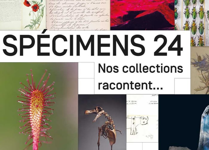 Spécimens entourbés