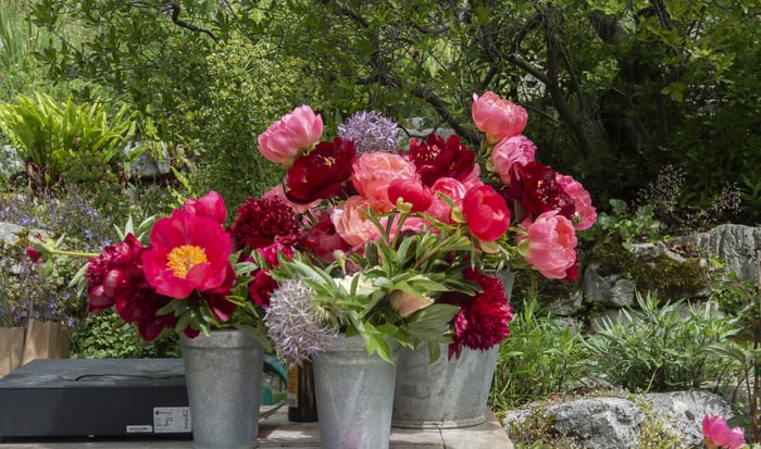 Fête printanière au Jardin botanique