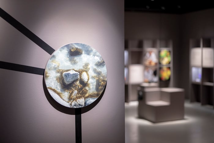 Visite guidée gratuite de l'exposition "Invisibles. La vie cachée des microbes"