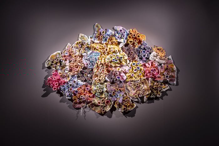 Entrée gratuite à l'exposition "Invisibles. La vie cachée des microbes"