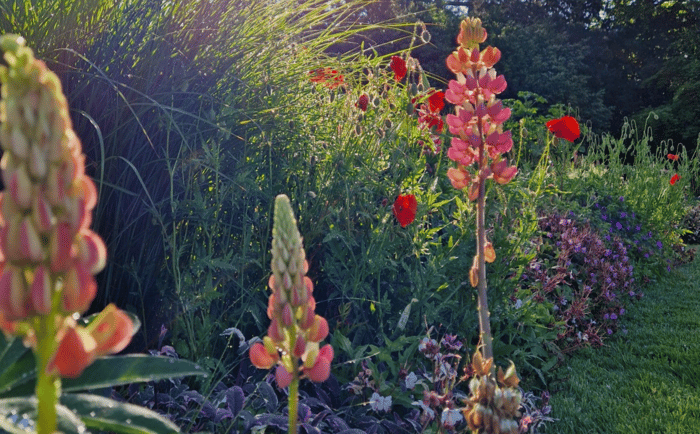 VISITE GOURMANDE |Déjeuner sur l’herbe