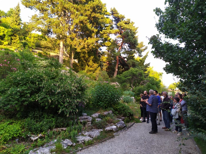 Tour auf Deutsch - Botanischer Garten