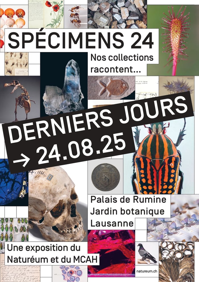 Spécimens 24 - Week-end de clôture et spectacle
