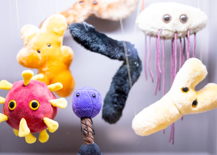 Complet - « Dans l'univers des microbes ». Atelier en famille avec enfants de 3-5 ans