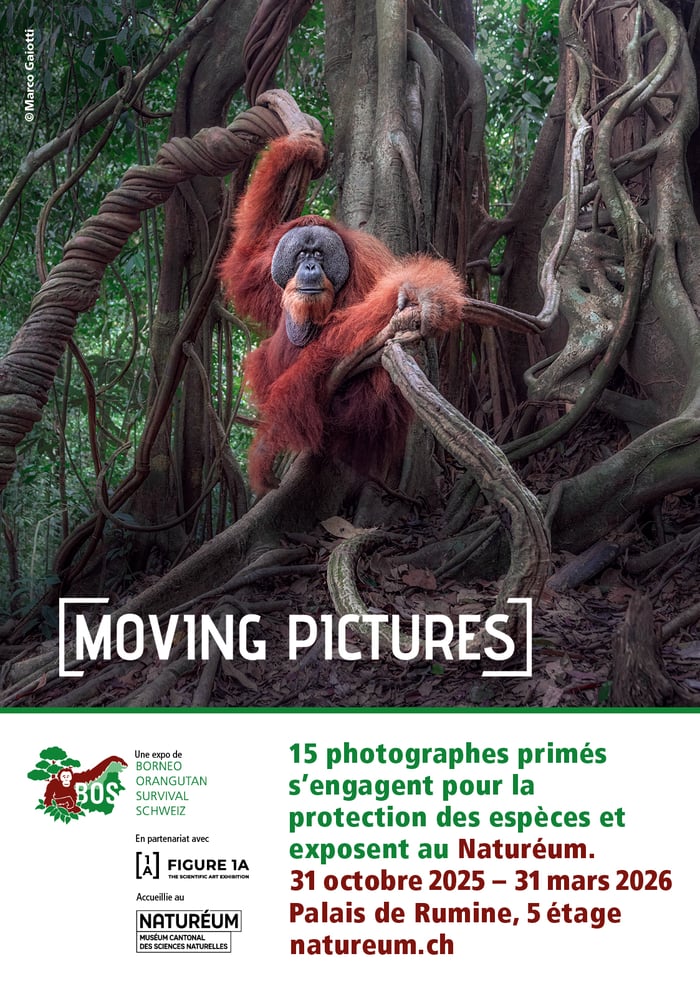 [Moving Pictures]