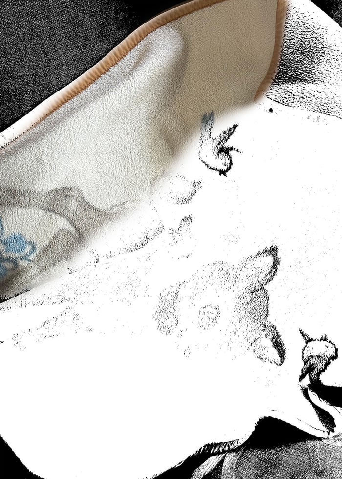 Marina Xenofontos. Play Life