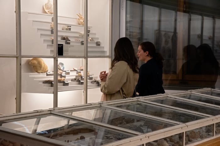 Visite traduite en langue des signes