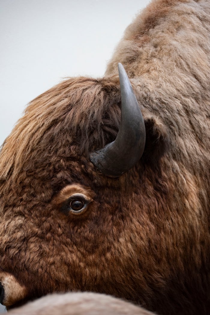 Soirée au Musée - Atelier d'écriture