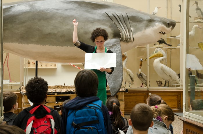 Atelier pour enfants - Petits pas au Naturéum