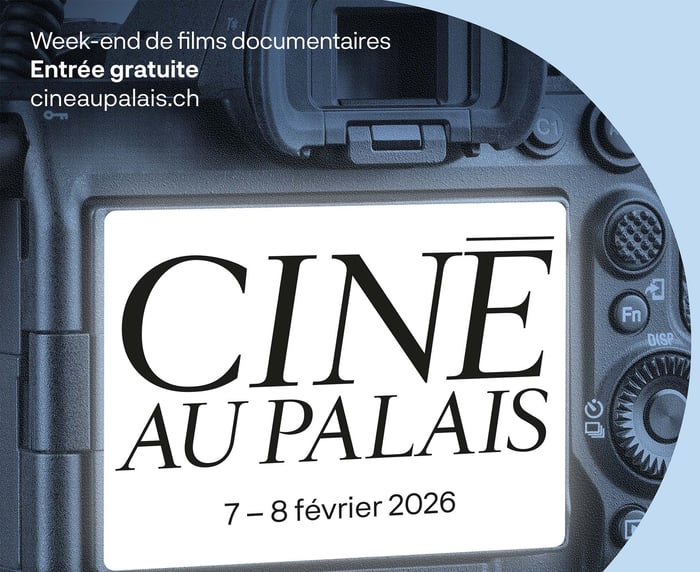 Ciné au Palais