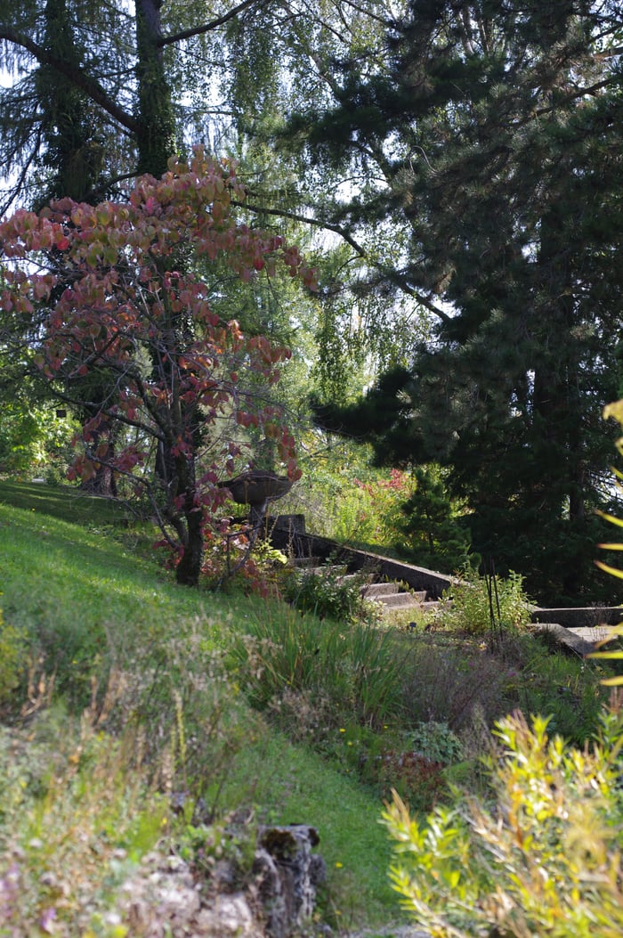 Soirée au Jardin - L'arbre m'a dit