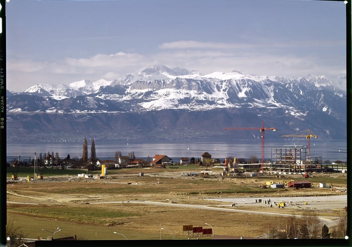 Des Cèdres à Dorigny