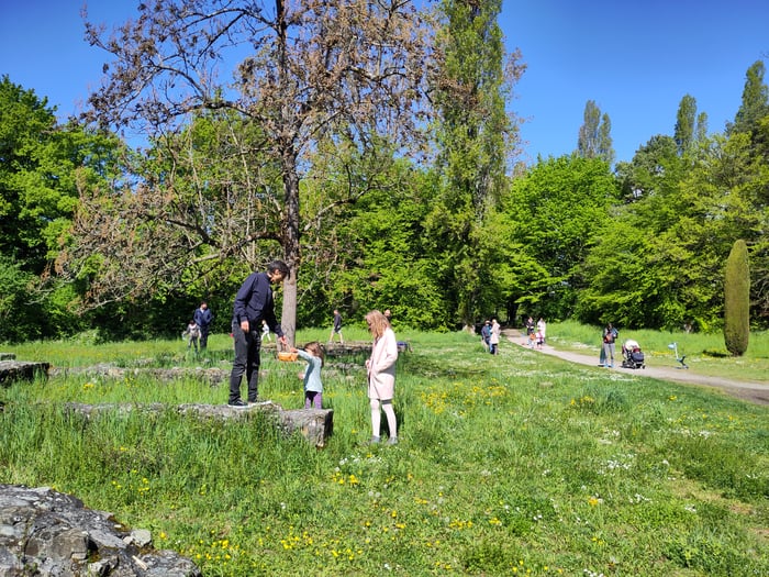 Attrapez-les tous! - chasse aux œufs 