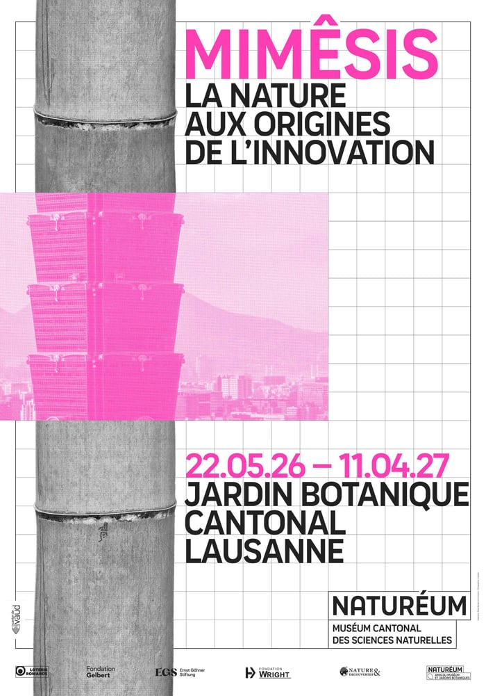 Mimêsis - la nature aux origines de l’innovation