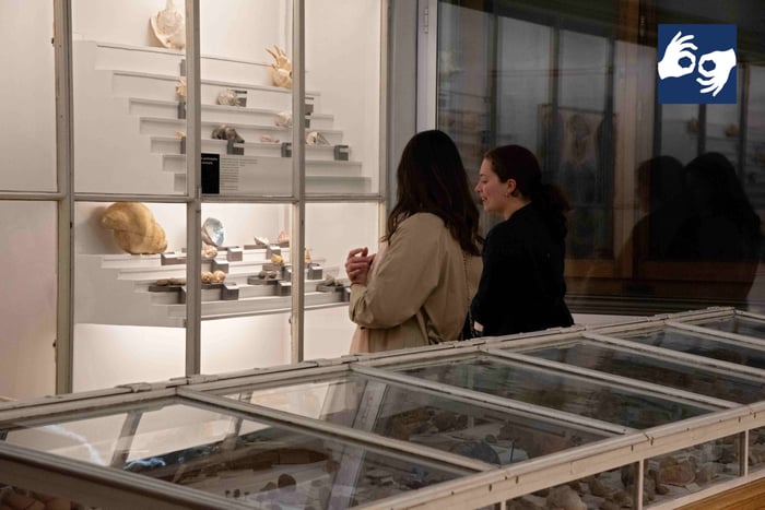 Visite guidée en langue des signes