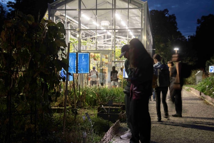 Soirées au Jardin - Ecouter comme une chauve-souris